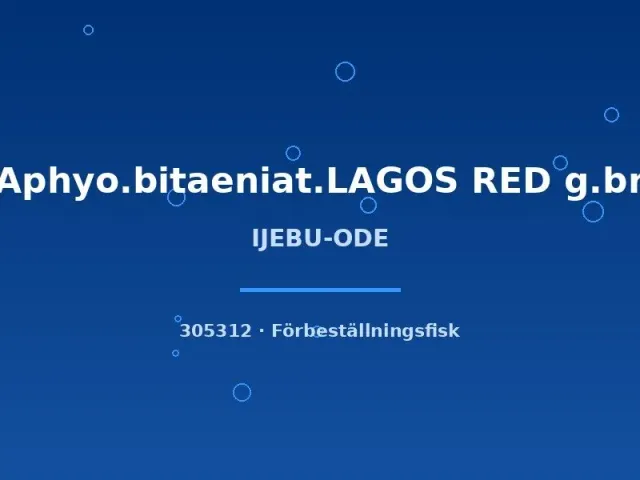 Näsets Ciklidhobby Aphyo. bitaeniatum Lagos Red killi md