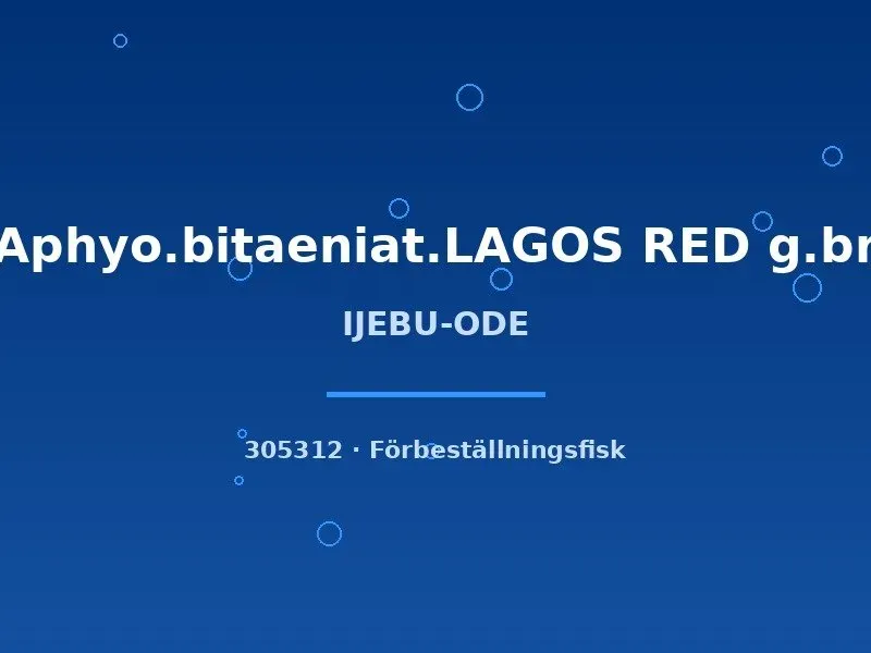 Näsets Ciklidhobby Aphyo. bitaeniatum Lagos Red killi md