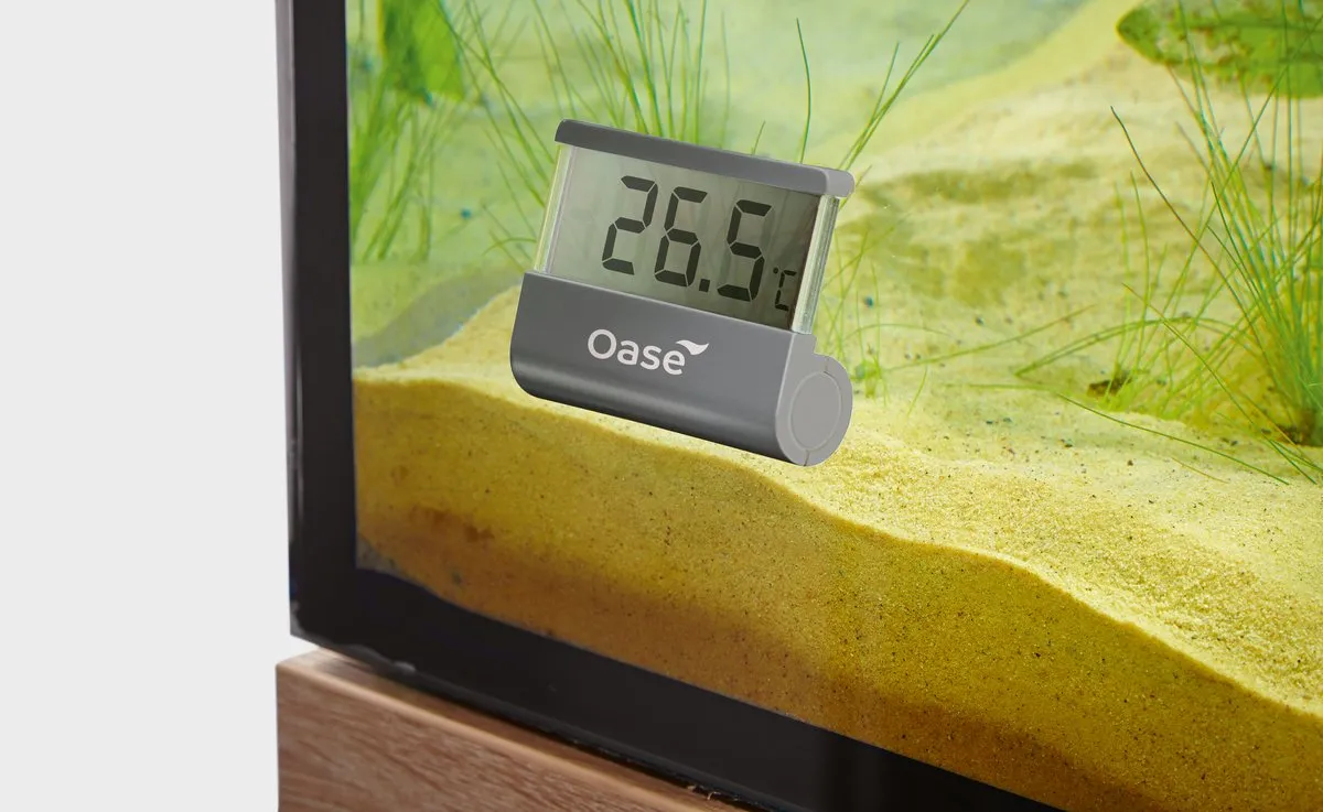 Oase Digital termometer akvarium 6 cm display