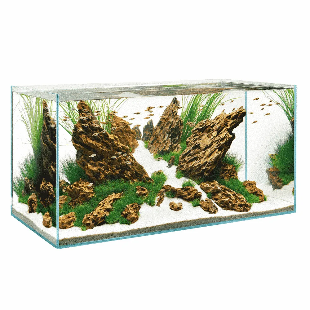 Näsets Ciklidhobby ScaperLine 90 akvarium med underskåp