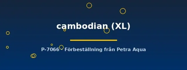 Näsets Ciklidhobby Cambodian Longfin betta XL hane