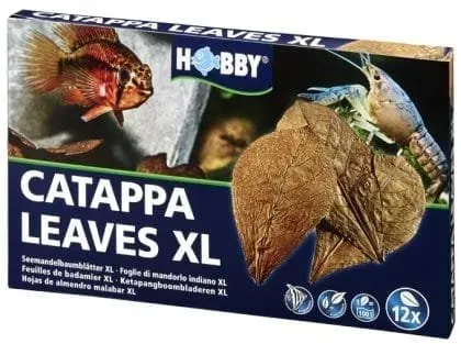 Näsets Ciklidhobby Catappa Leaves mandelblad naturliga