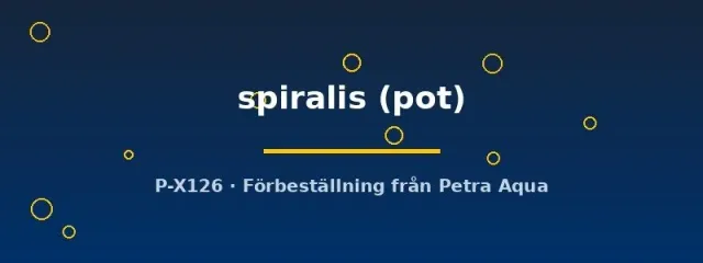Cryptocoryne spiralis akvarieväxt pot bakgrund