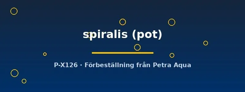 Cryptocoryne spiralis akvarieväxt pot bakgrund