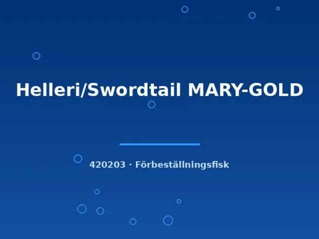 Näsets Ciklidhobby Helleri Mary-Gold svärdfisk lg