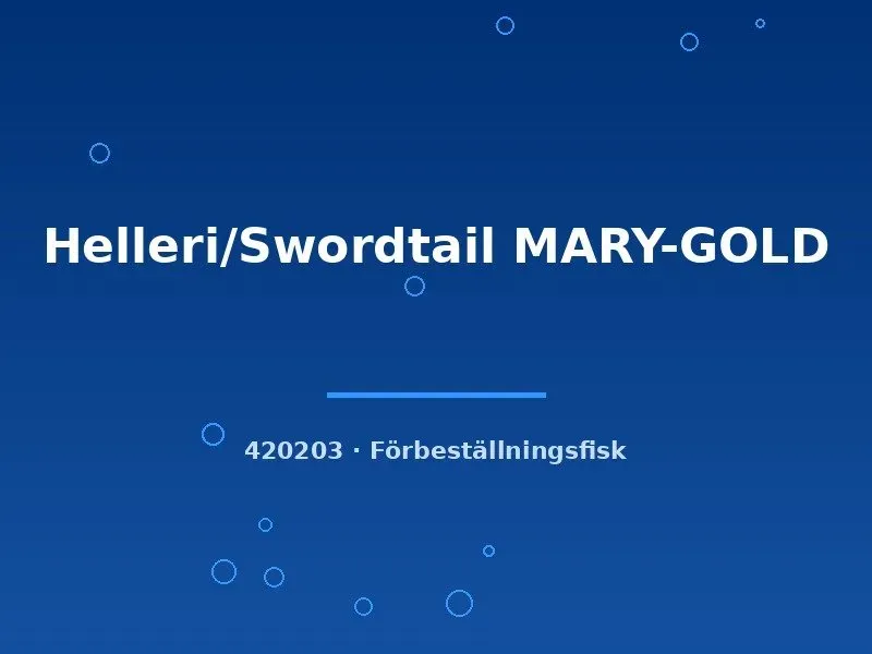 Näsets Ciklidhobby Helleri Mary-Gold svärdfisk lg
