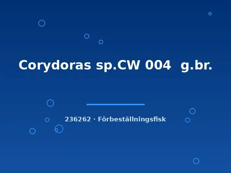 Näsets Ciklidhobby Corydoras sp. CW 004 pansarmal md