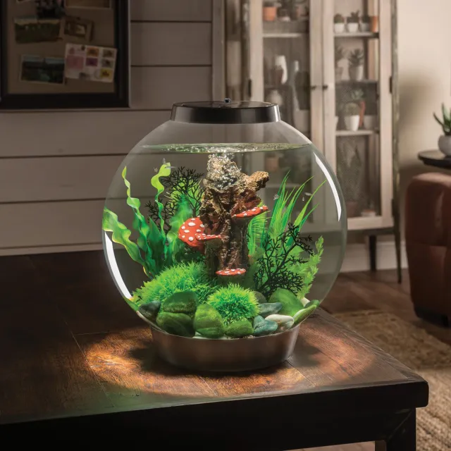 biOrb CLASSIC 30 akvarium Enchanted Evening 30 liter