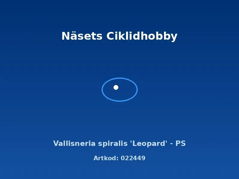 Näsets Ciklidhobby Vallisneria Leopard akvarieväxt spiralis PS