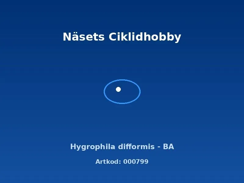 Näsets Ciklidhobby Hygrophila difformis BA akvarieväxt snabbväxande