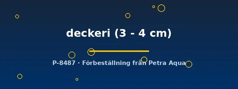Näsets Ciklidhobby Corydoras Deckeri akvariefisk 3–4 cm bottenfisk