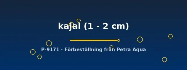 Näsets Dario kajal nanofisk 1–2 cm lugn