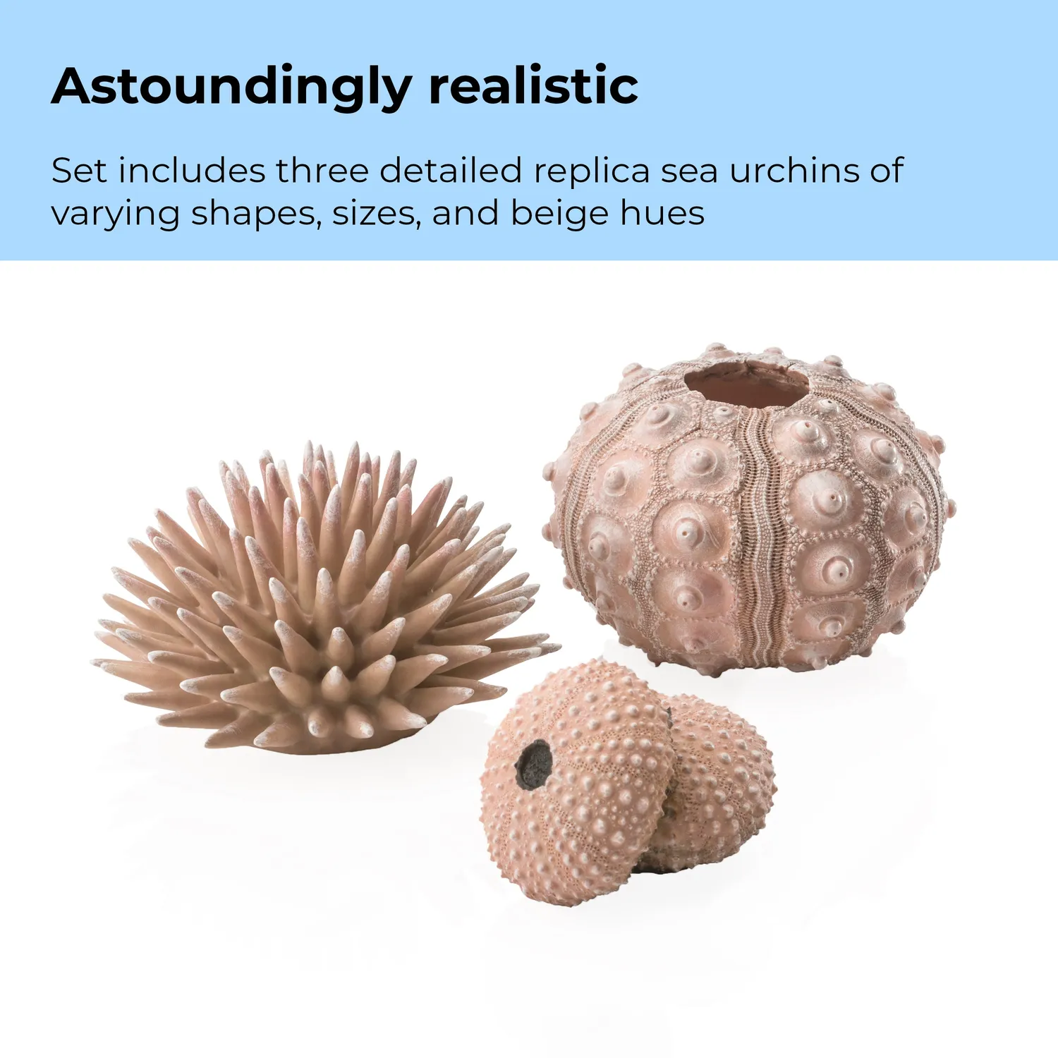 biOrb Sea Urchin akvariedekoration 3-pack natural