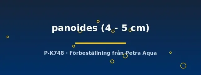 Näsets Ciklidhobby Brachirus panoides flundra 4–5 cm