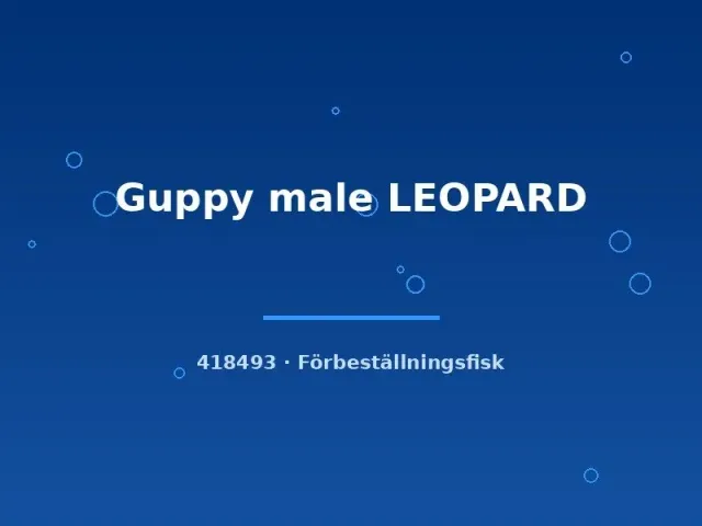 Näsets Ciklidhobby Guppy Leopard hane lg akvariefisk leopard