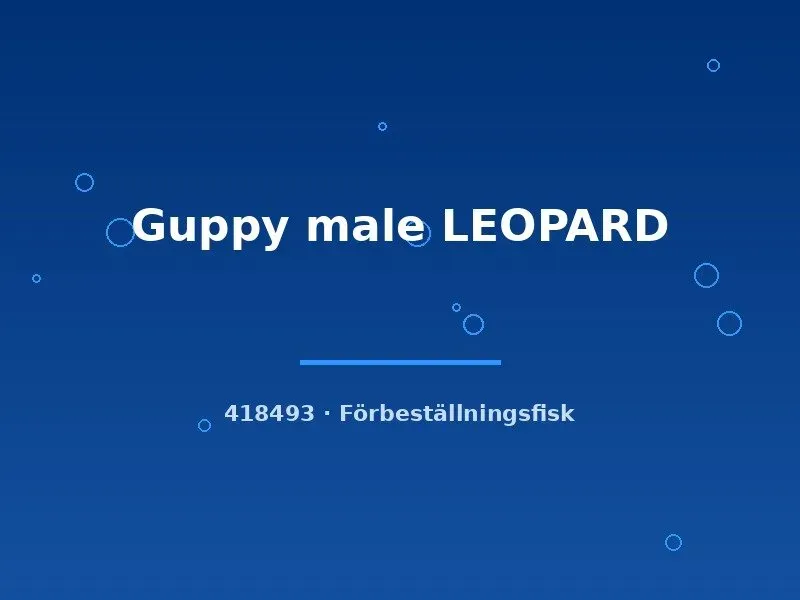 Näsets Ciklidhobby Guppy Leopard hane lg akvariefisk leopard