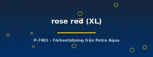 Betta splendens rose red kampfisk hane XL röd