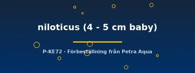 Näsets Ciklidhobby Gymnarchus niloticus rovfisk 4–5 cm baby
