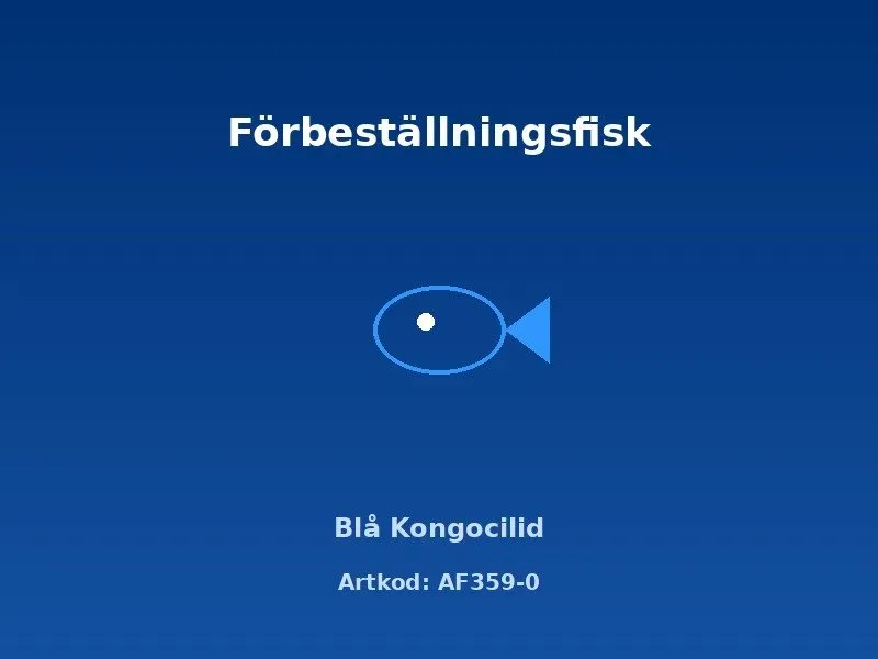 Näsets Ciklidhobby Blå Kongociklid akvariefisk 3–4 cm vild