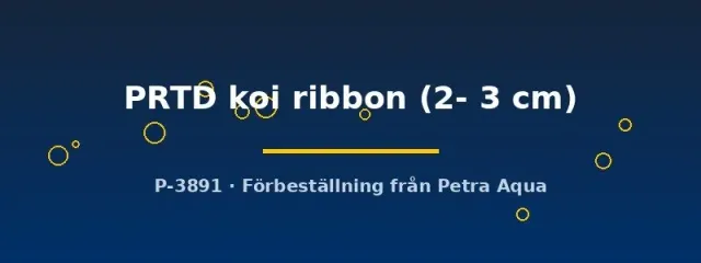 Poecilia reticulata PRTD koi ribbon guppy par 2–3 cm