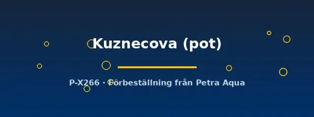 Näsets Echinodorus Kuznecova svärdsplanta kruka