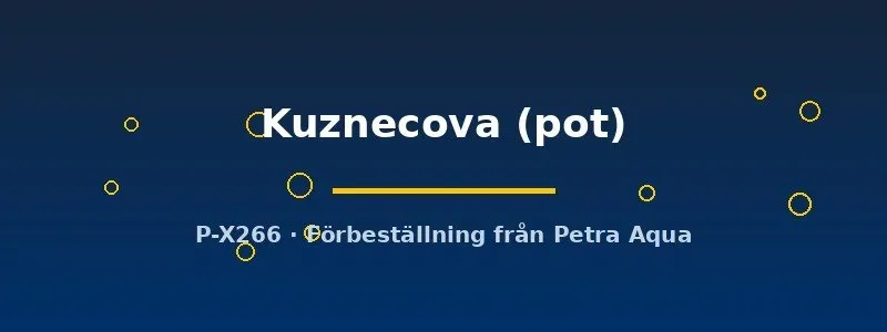 Näsets Echinodorus Kuznecova svärdsplanta kruka