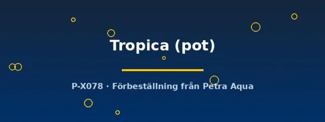 Näsets Ciklidhobby Echinodorus Tropica akvarieväxt pot
