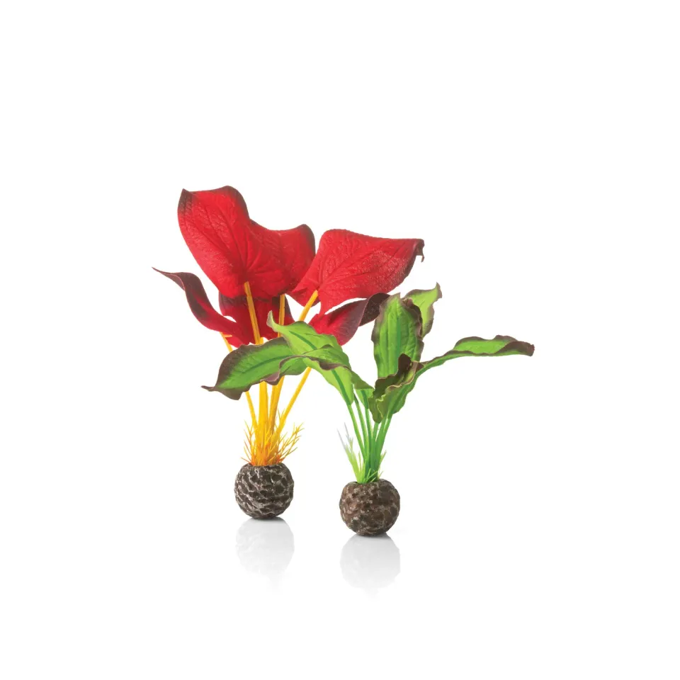 biOrb Small Green & Red Silk Plant växtset siden
