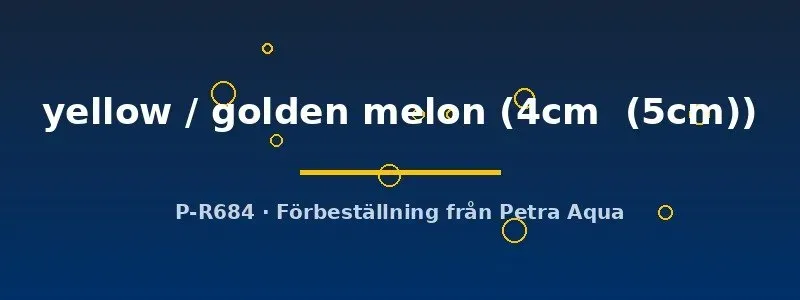 Näsets Ciklidhobby Symphysodon yellow golden melon diskus 4–5 cm