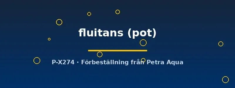 Näsets Ciklidhobby Riccia fluitans akvarieväxt pot