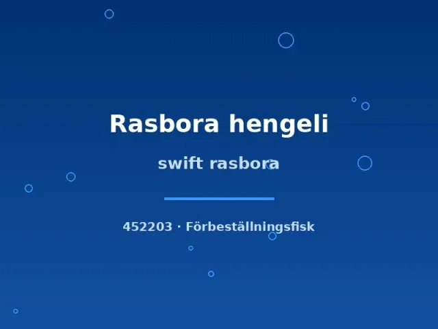 Näsets Ciklidhobby Swift rasbora stimfisk md-lg hengeli