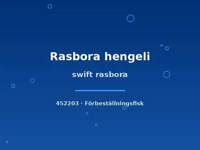 Näsets Ciklidhobby Swift rasbora stimfisk md-lg hengeli