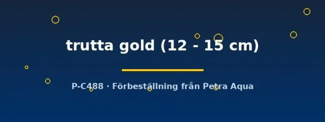 Näsets Ciklidhobby Sea trout gold akvariefisk 12–15 cm kallvatten