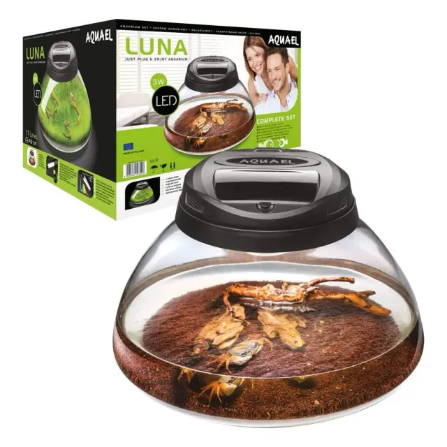 Näsets Ciklidhobby Luna akvarium med filter grunt glas