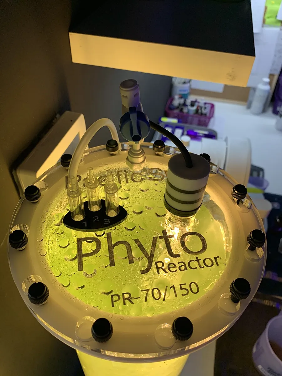 Pacific Sun PR 70/110 planktonreaktor 5 liter fytoplankton