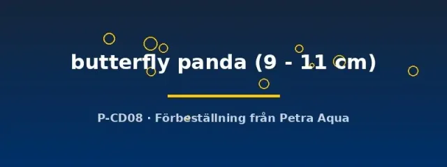 Näsets Butterfly Panda guldfisk 9–11 cm svartvit