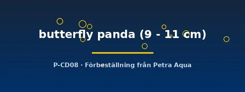Näsets Butterfly Panda guldfisk 9–11 cm svartvit