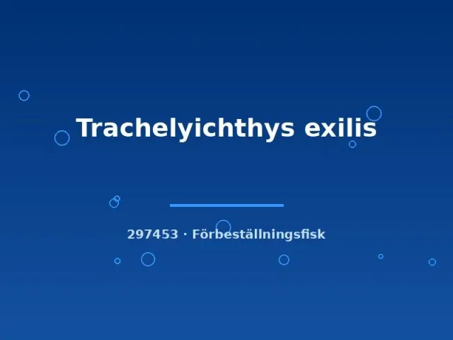 Näsets Ciklidhobby Trachelyichthys exilis mal 4–6cm