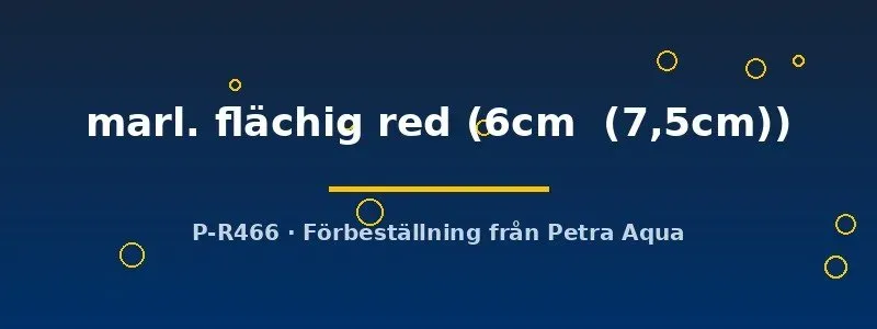 Näsets Ciklidhobby Symphysodon diskus 6–7,5 cm marl flächig red