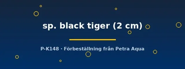 Näsets Ciklidhobby Dario sp. black tiger fisk 2 cm småvuxen