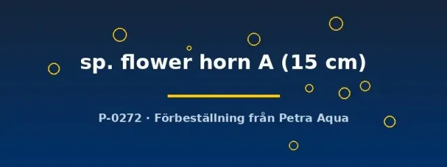Näsets Flower horn A ciklid 15 cm stor