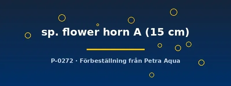 Näsets Flower horn A ciklid 15 cm stor