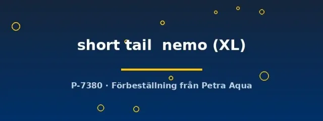 Näsets Ciklidhobby Betta short tail nemo XL kampfisk hane kortstjärtad