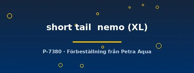 Näsets Ciklidhobby Betta short tail nemo XL kampfisk hane kortstjärtad