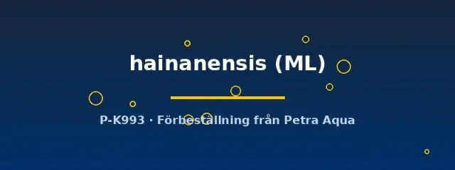 Näsets Ciklidhobby Vanmanenia hainanensis grönling ML