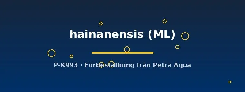 Näsets Ciklidhobby Vanmanenia hainanensis grönling ML