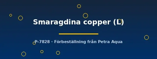 Betta spl. Smaragdina copper hona L kampfisk