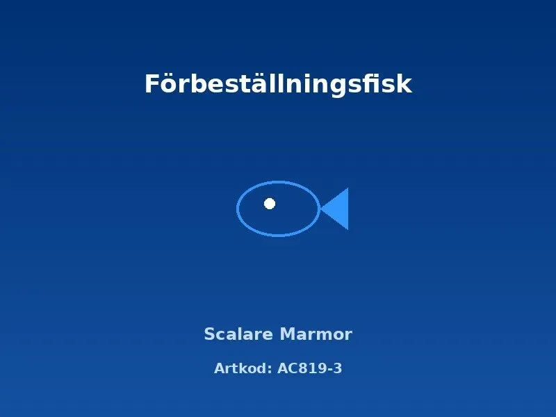 Näsets Ciklidhobby Scalare Marmor skalar 5 cm Marble