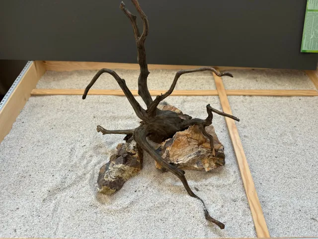 Garnelen TV Aquascape Hardscape Set rot + sten akvariedekor