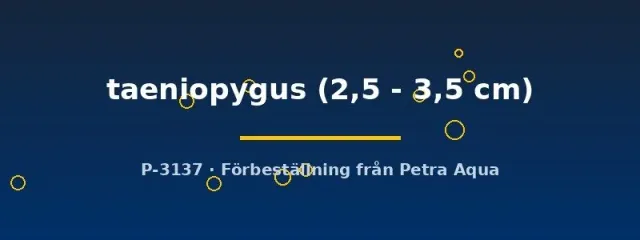 Näsets Ciklidhobby Taeniopygus killifisk 2,5–3,5 cm